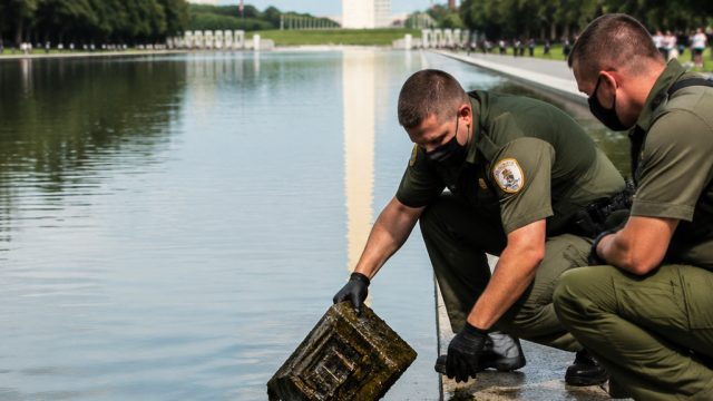 Unexpected Discoveries in the Reflecting Pool Spark Concerns